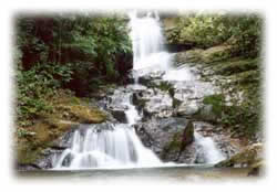 Cachoeira do Espelho Ubatuba - Hotel Mar